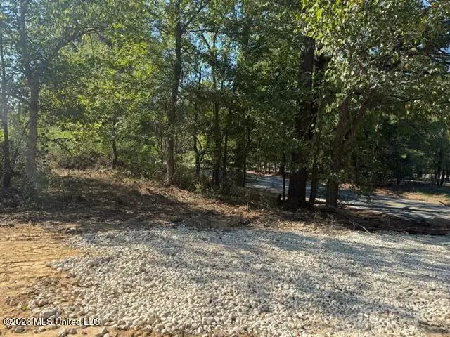 Lot 1 Slocum Road, Hernando, MS 38632 - #1