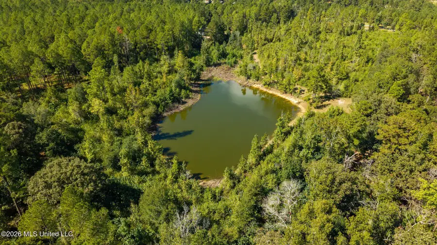 37 N Mill Creek Road, Sumrall, MS 39482 - #2