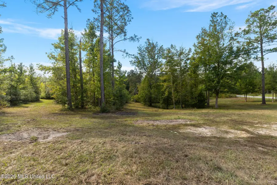 37 N Mill Creek Road, Sumrall, MS 39482 - #3