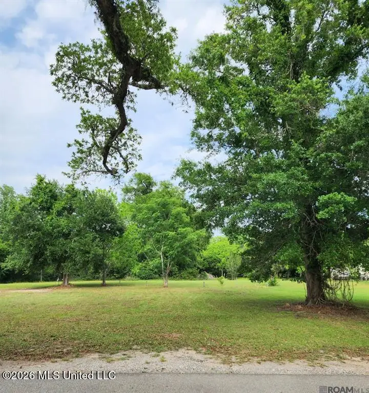 Leovy Avenue, Pass Christian, MS 39571 - #3