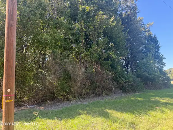 Memorial Dr Avenue, Flora, MS 39071
