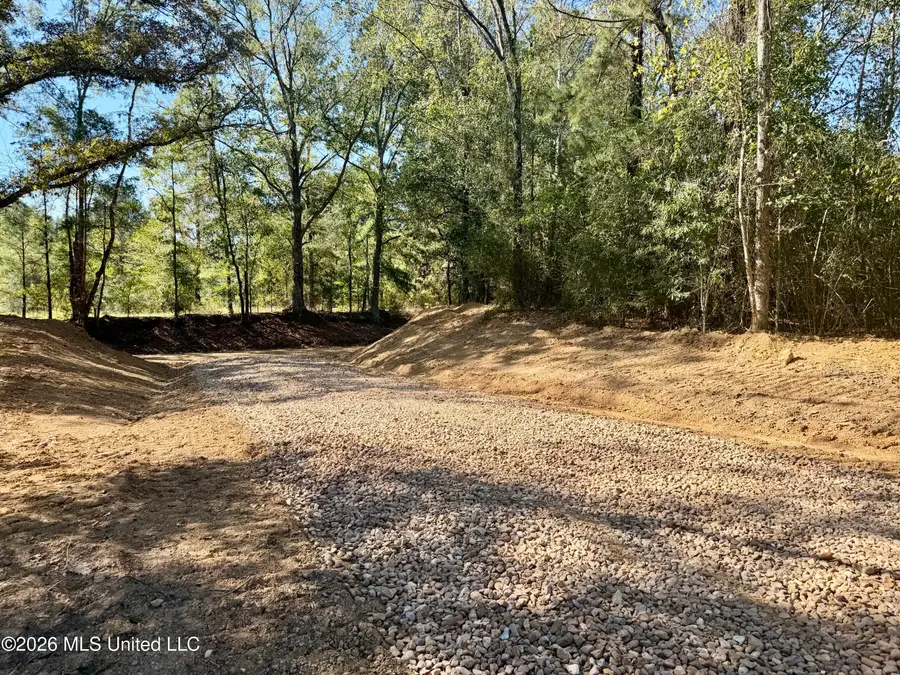Williams Road, Carthage, MS 39051 - #2
