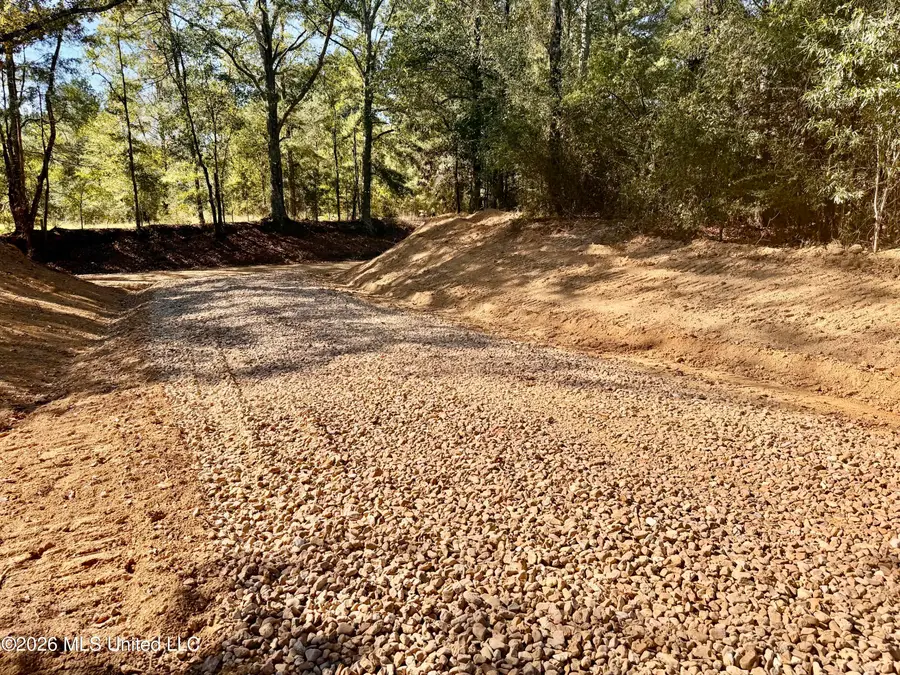 Williams Road, Carthage, MS 39051 - #3