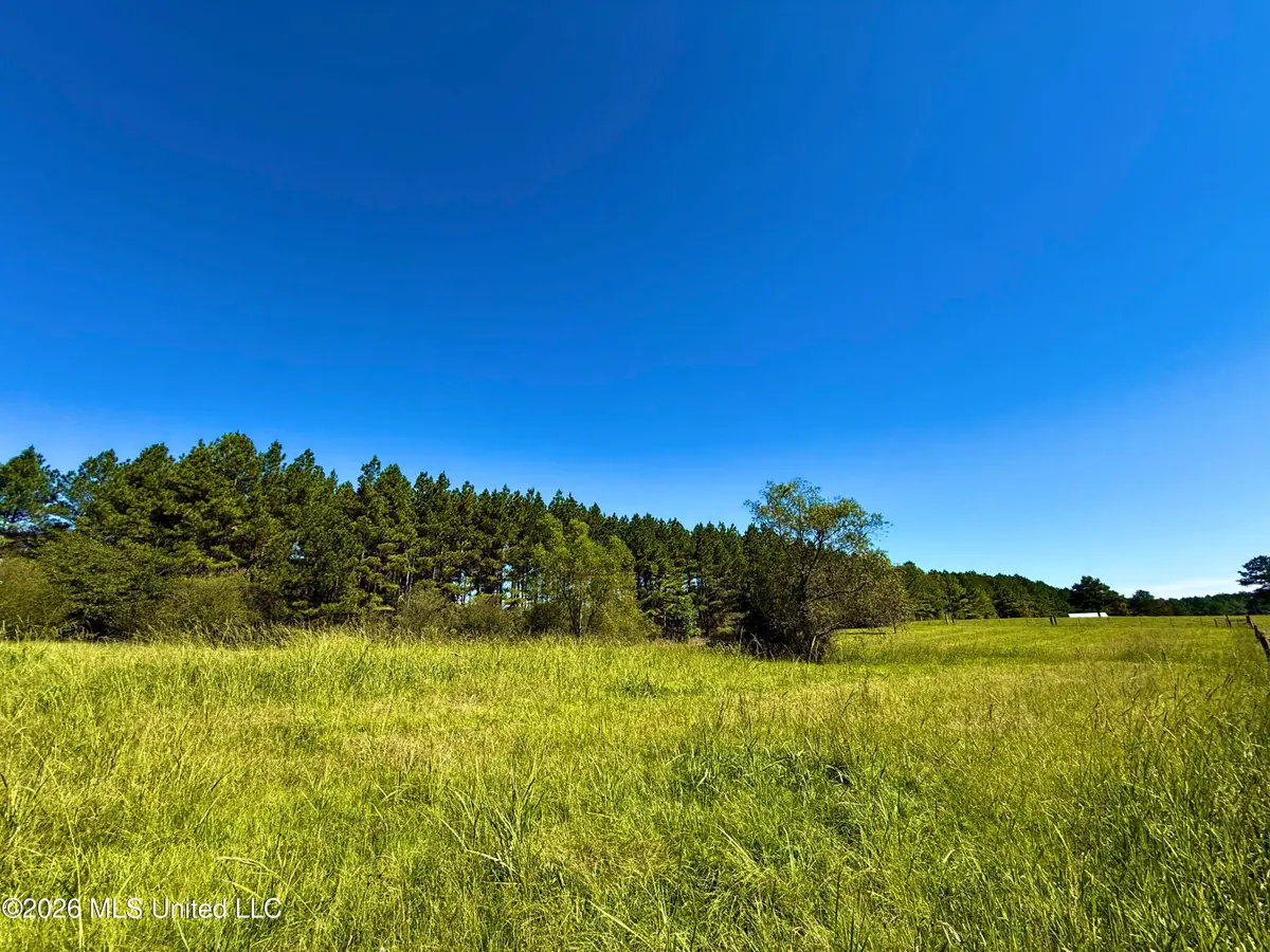 206 Barker Road, Morton, MS 39117 - #1