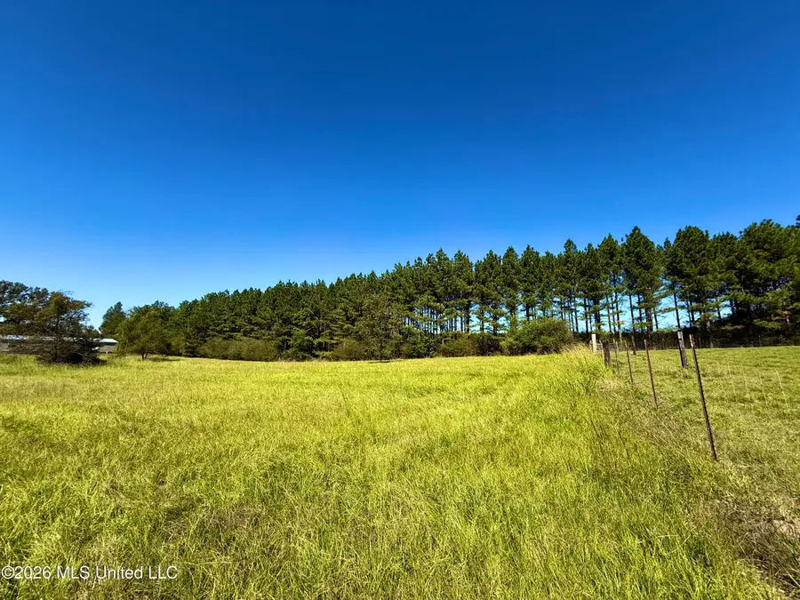 206 Barker Road, Morton, MS 39117 - #3
