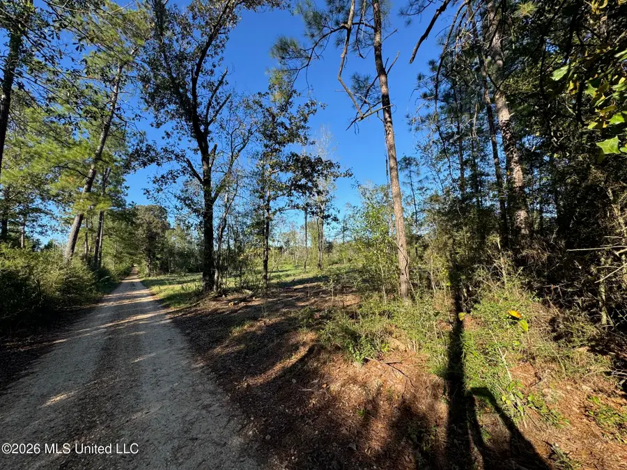 Xxx Emma Kelly Road, Magnolia, MS 39652 - #3