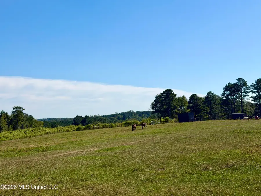 2416 Lake Lincoln Drive, Wesson, MS 39191 - #2