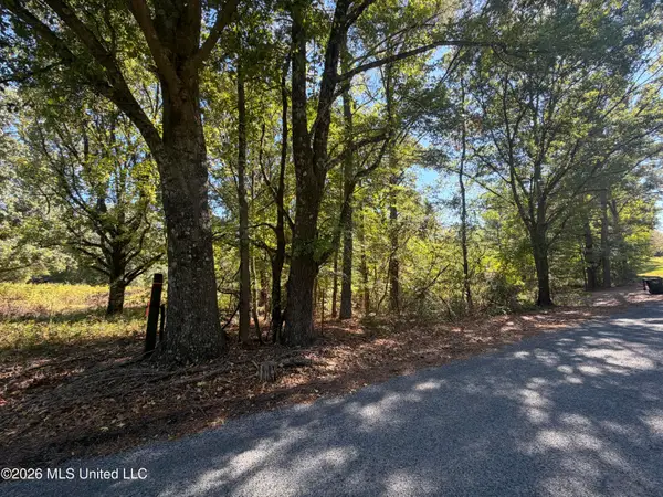 Brownlee Road, Senatobia, MS 38668