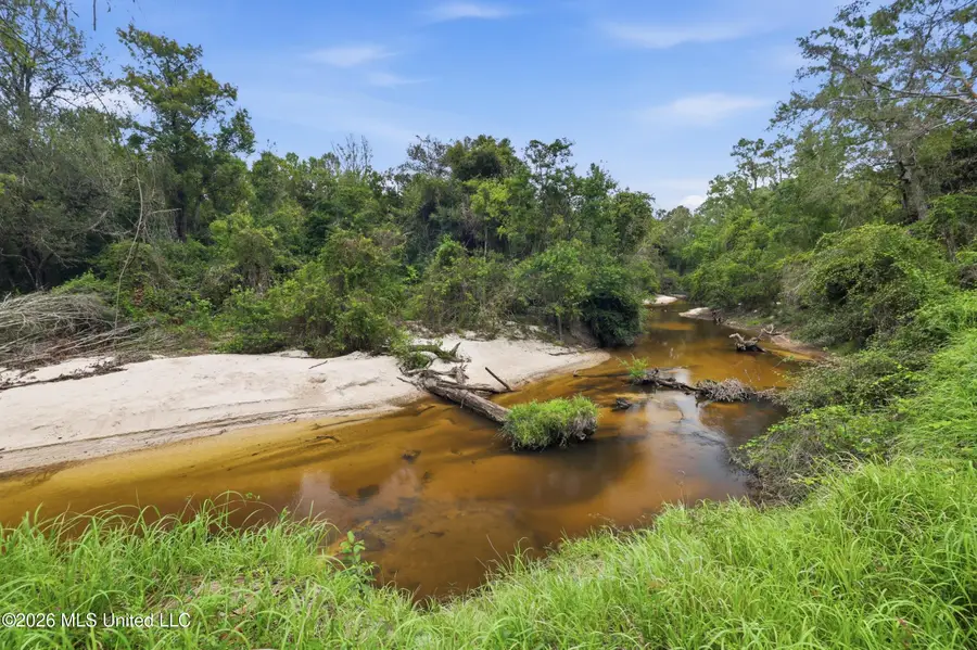 123 E Wilkerson Ferry Road, Lucedale, MS 39452 - #2