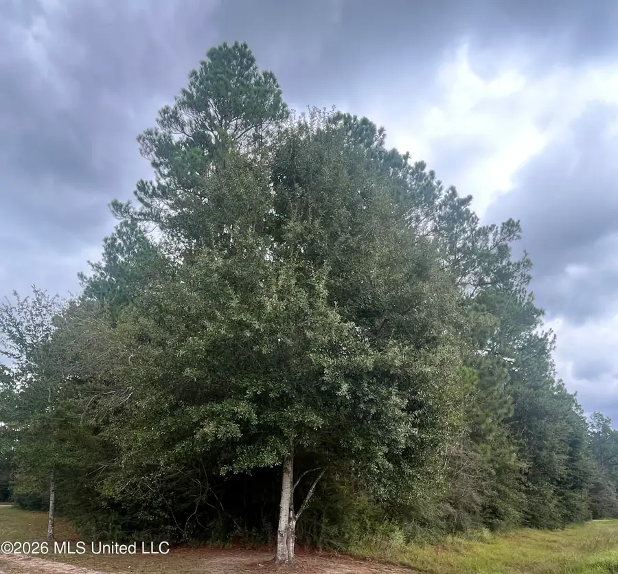 Ms-614, Moss Point, MS 39562 - #2