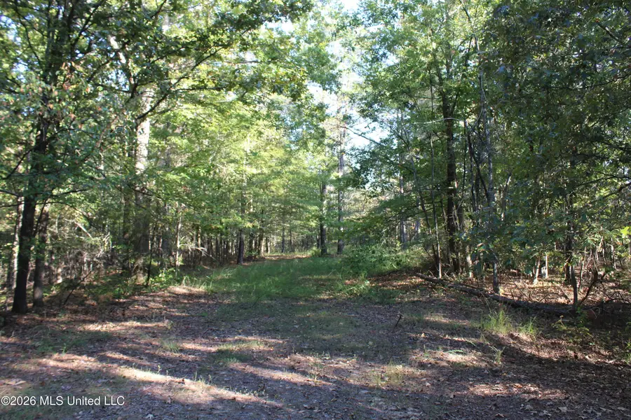 1000 Colston Road, Holly Springs, MS 38635 - #2