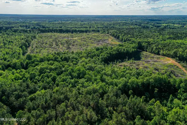 001 County Road 433, Thaxton, MS 38871