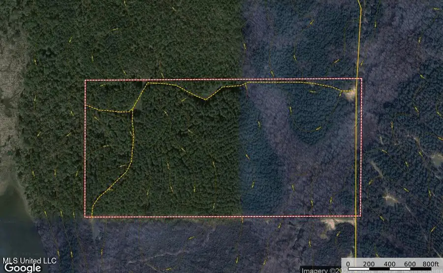 001 County Road 433, Thaxton, MS 38871 - #2