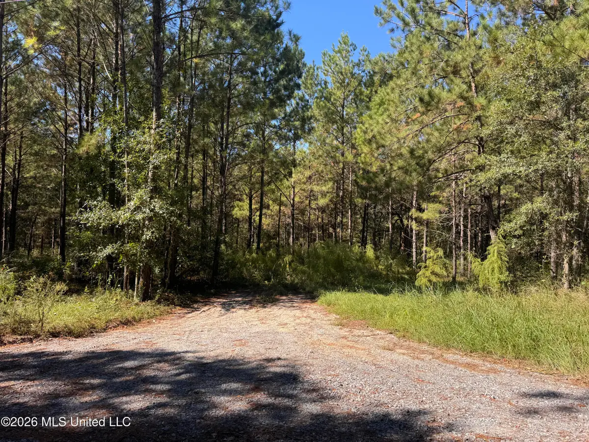 21525 Gartman Jones Road, Saucier, MS 39574 - #1