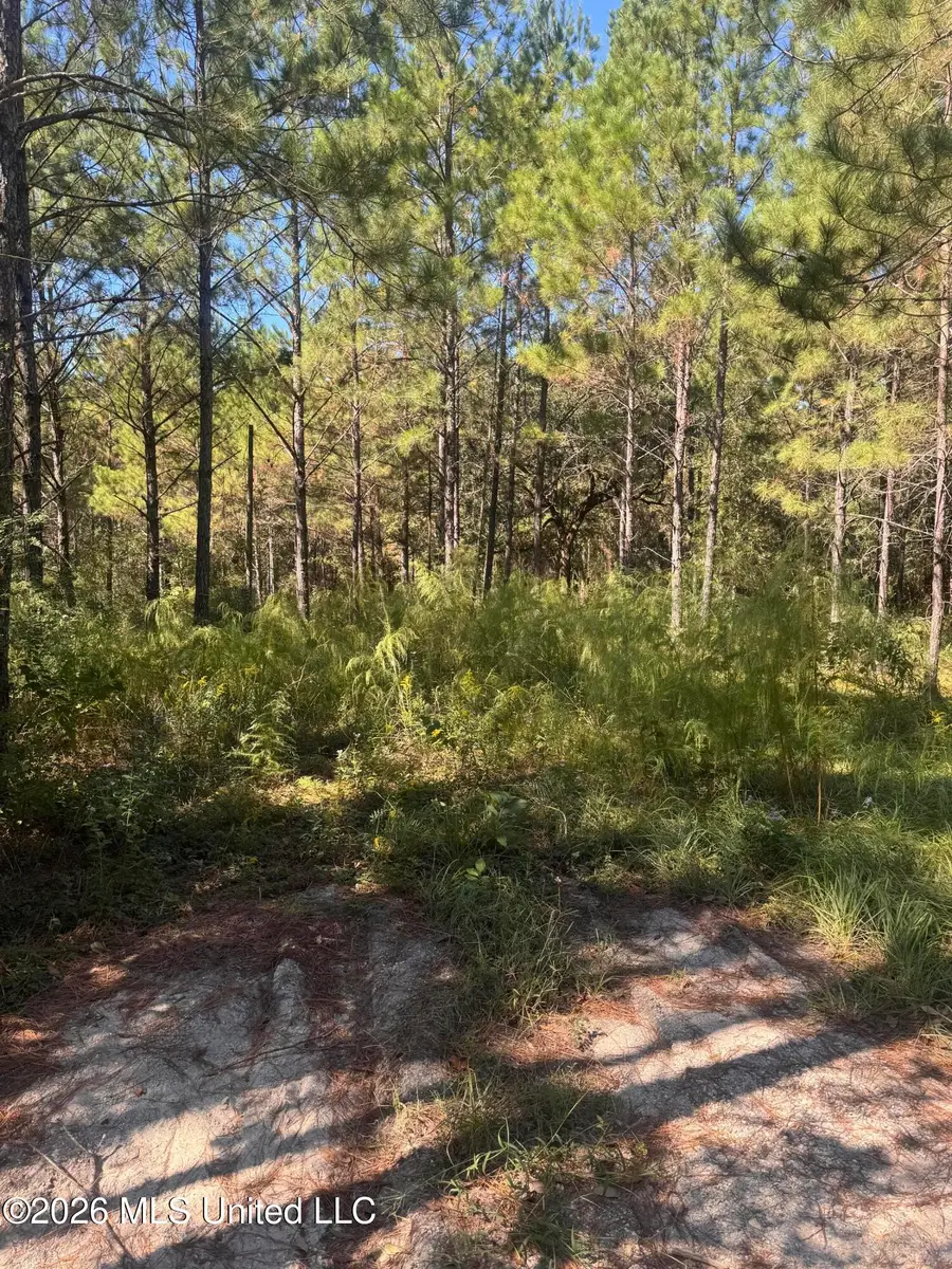 21525 Gartman Jones Road, Saucier, MS 39574 - #2