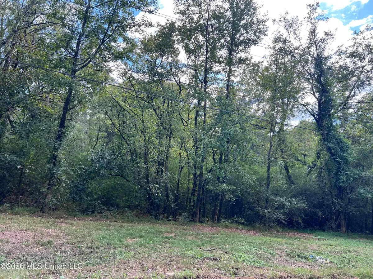 0 Mccluer Road, Jackson, MS 39212 - #1