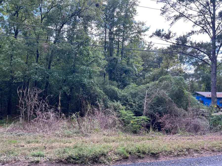 0 Mccluer Road, Jackson, MS 39212 - #3