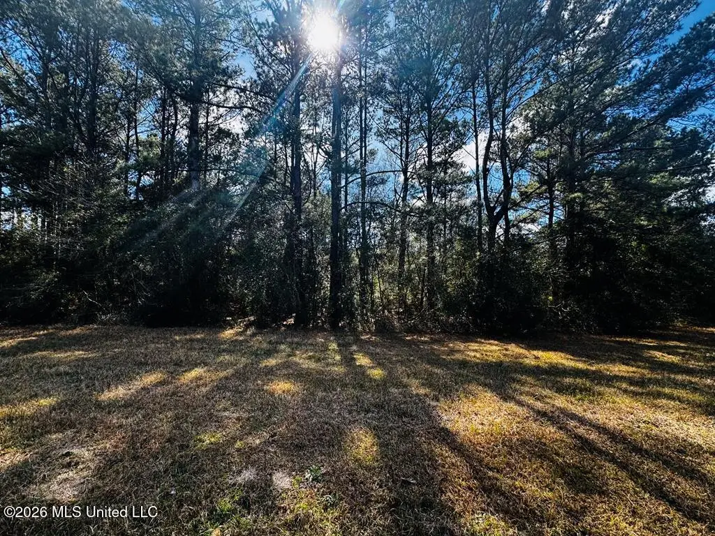 E Lake Cypress Drive, Perkinston, MS 39573 - #1