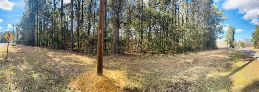 E Lake Cypress Drive, Perkinston, MS 39573 - #2