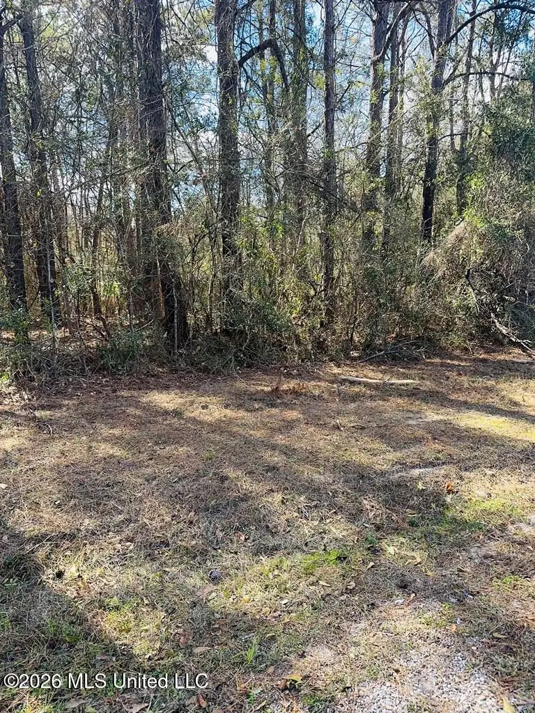 E Lake Cypress Drive, Perkinston, MS 39573 - #3