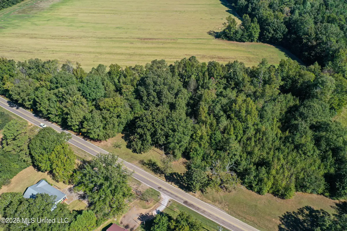 Maben Starkville Road, Maben, MS 39750 - #1