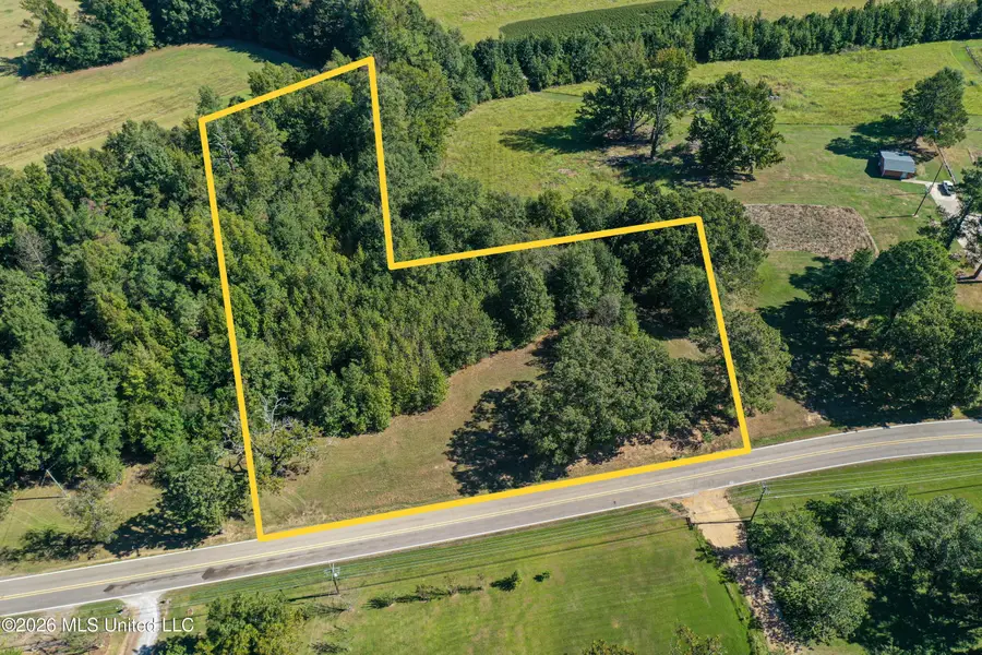 Maben Starkville Road, Maben, MS 39750 - #3