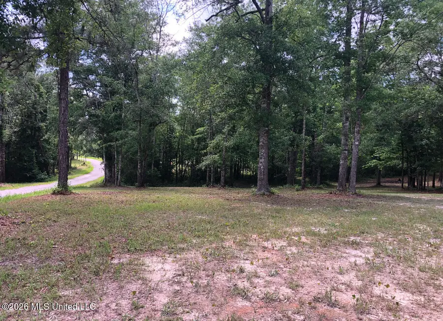 2.88ac Morrison Drive, Lucedale, MS 39452 - #2