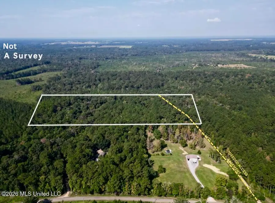 21.79 Acre Homer Ladner Road, Poplarville, MS 39470 - #2