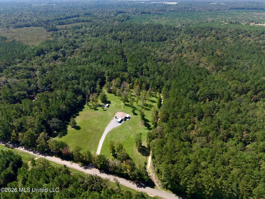 21.79 Acre Homer Ladner Road, Poplarville, MS 39470 - #3