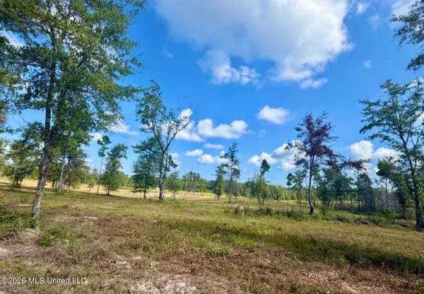 10.66 +/- Ac Industrial Park Road, Leakesville, MS 39451