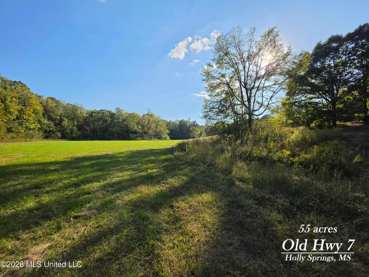 Old Hwy 7, Holly Springs, MS 38635 - #1