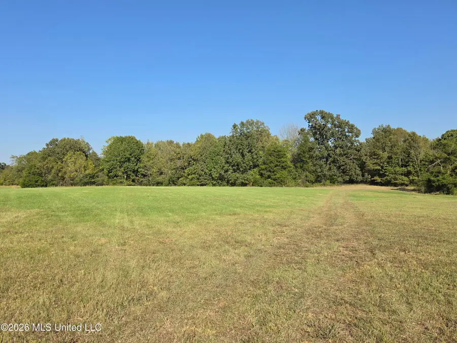 Old Hwy 7, Holly Springs, MS 38635 - #3