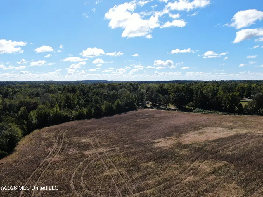 9 Enoch, Holly Springs, MS 38635 - #2