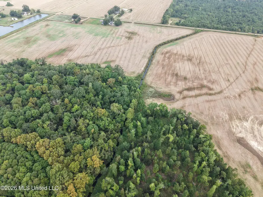 5972 Leverette Lane, Cascilla, MS 38920 - #2