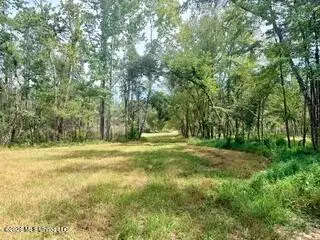 74 Highway 310, Como, MS 38619 - #3