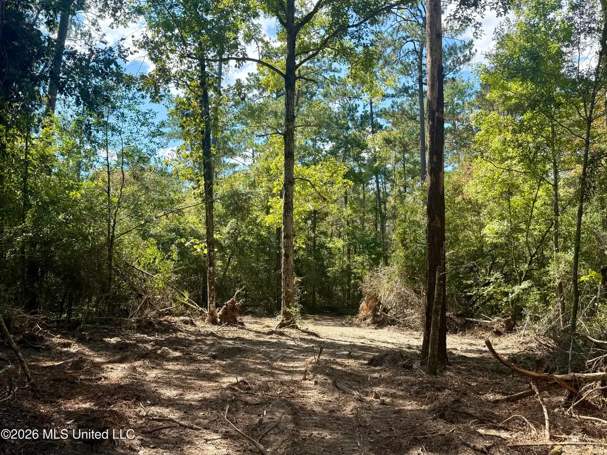 W Hwy 26, Lucedale, MS 39452 - #1