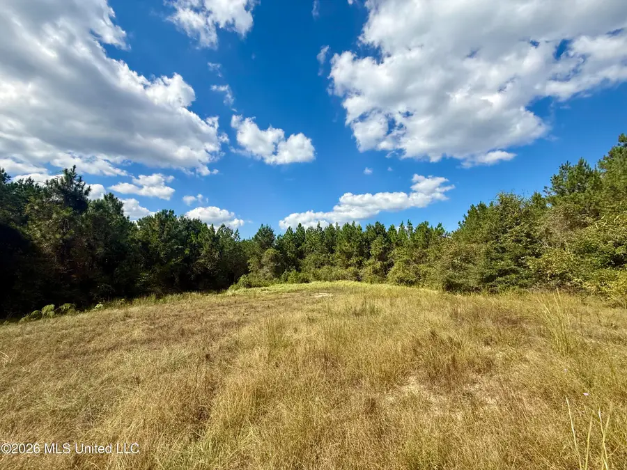W Hwy 26, Lucedale, MS 39452 - #2