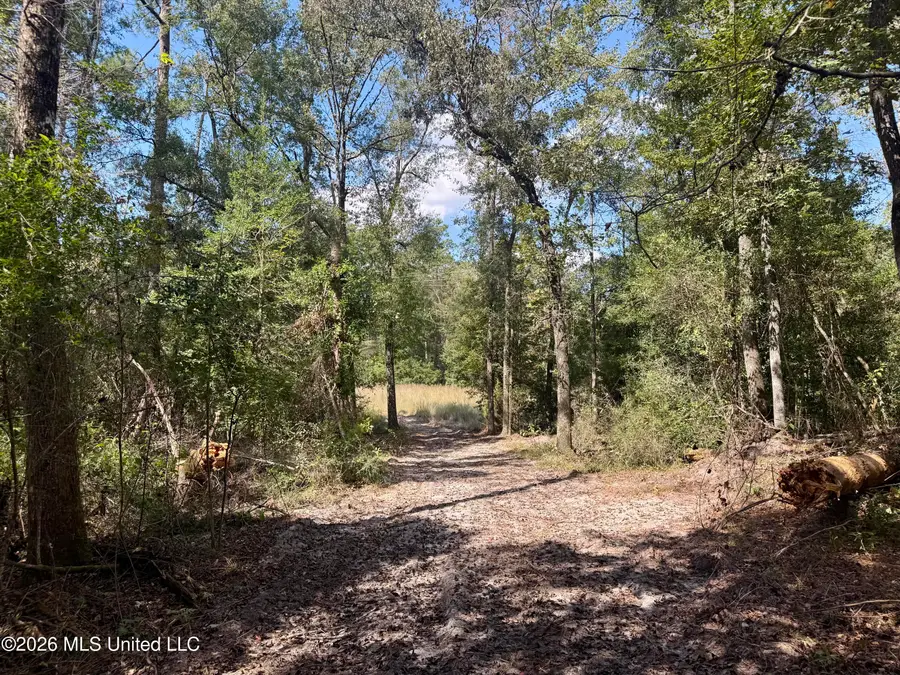 W Hwy 26, Lucedale, MS 39452 - #3