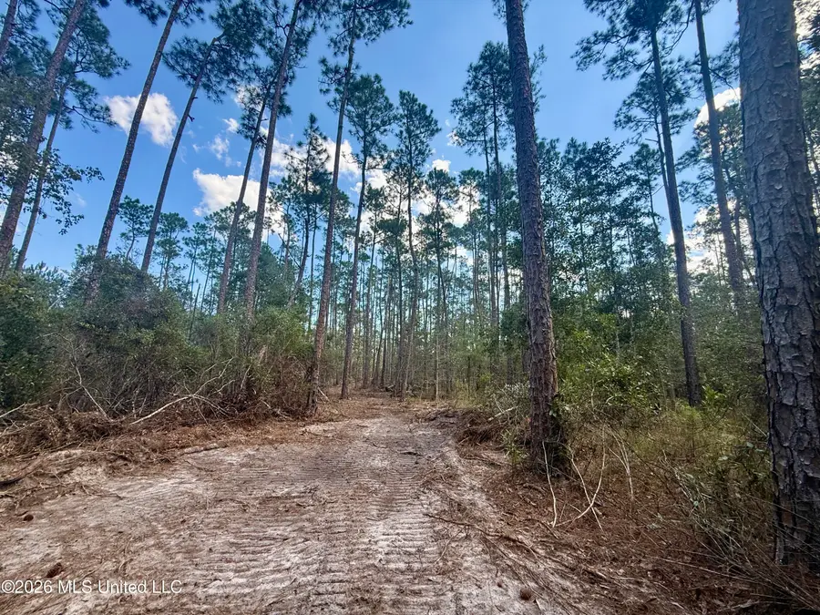 Frank Murphy Road, Lucedale, MS 39452 - #2
