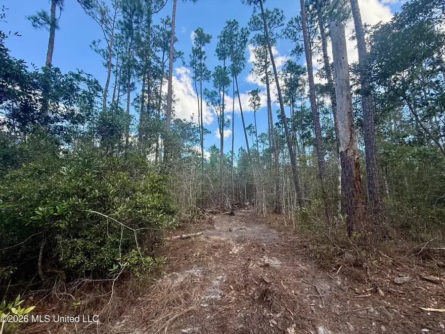 Frank Murphy Road, Lucedale, MS 39452 - #3