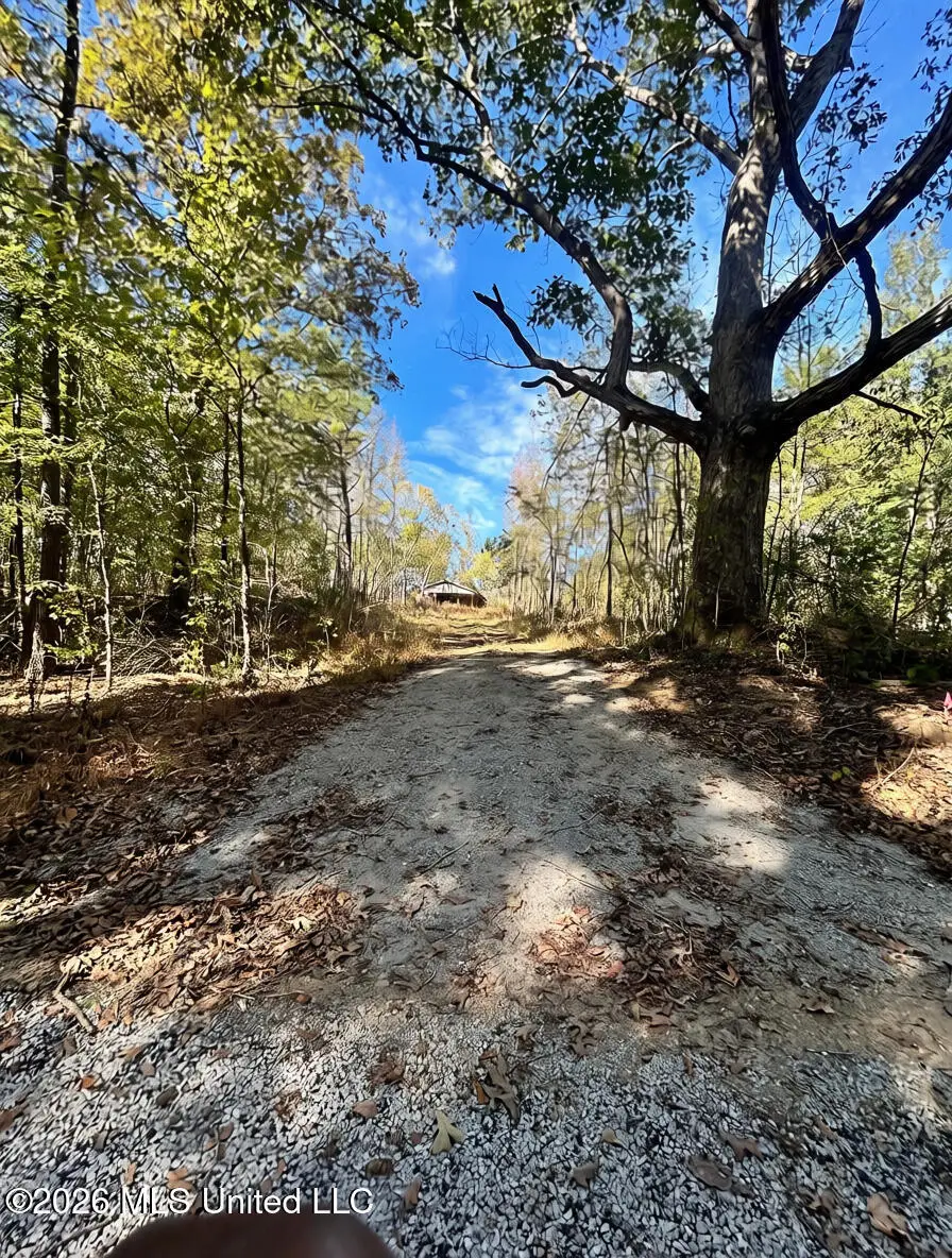 1010 Hubbard Road, Holly Springs, MS 38635 - #1