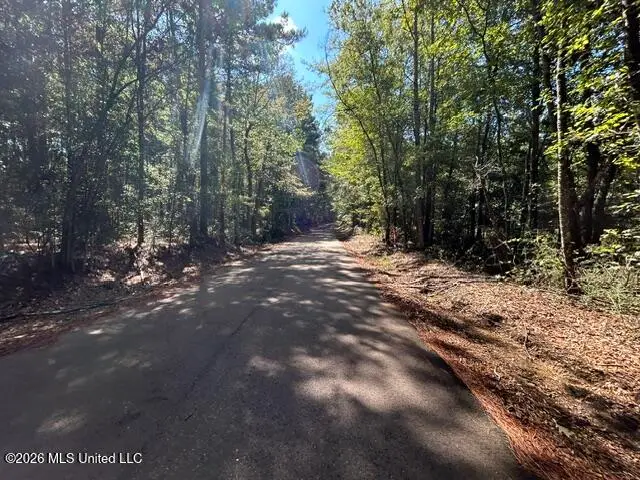 Robert Bateman Road, Franklinton, LA 70438 - #1