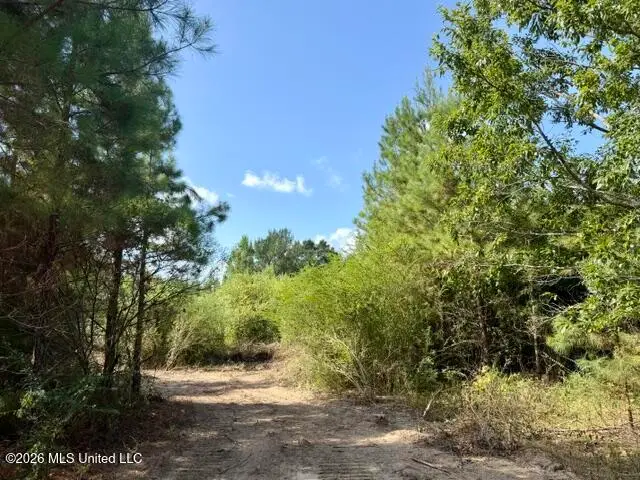 Robert Bateman Road, Franklinton, LA 70438 - #2