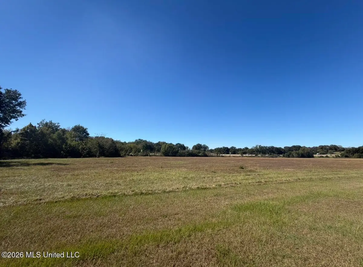 Crescent Meadow Drive, Holly Springs, MS 38635 - #1