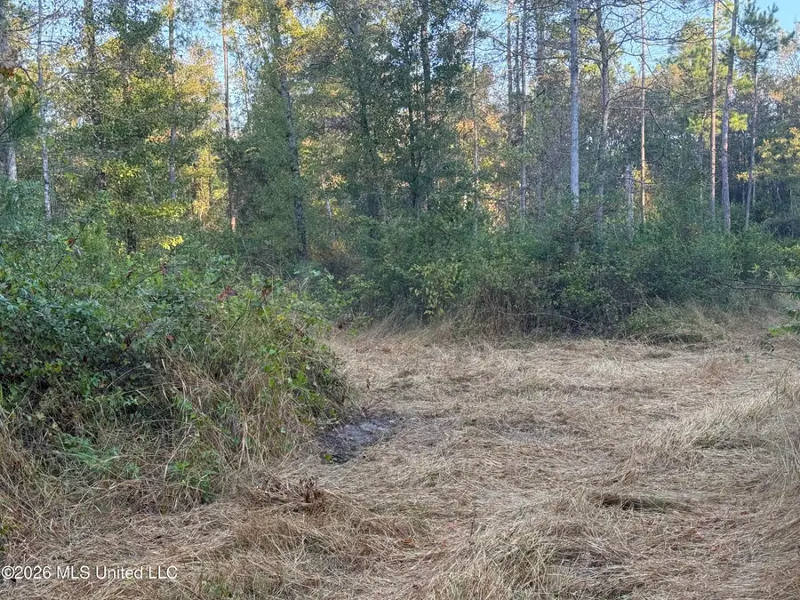 Lot 3 Big Point Road, Moss Point, MS 39562 - #3