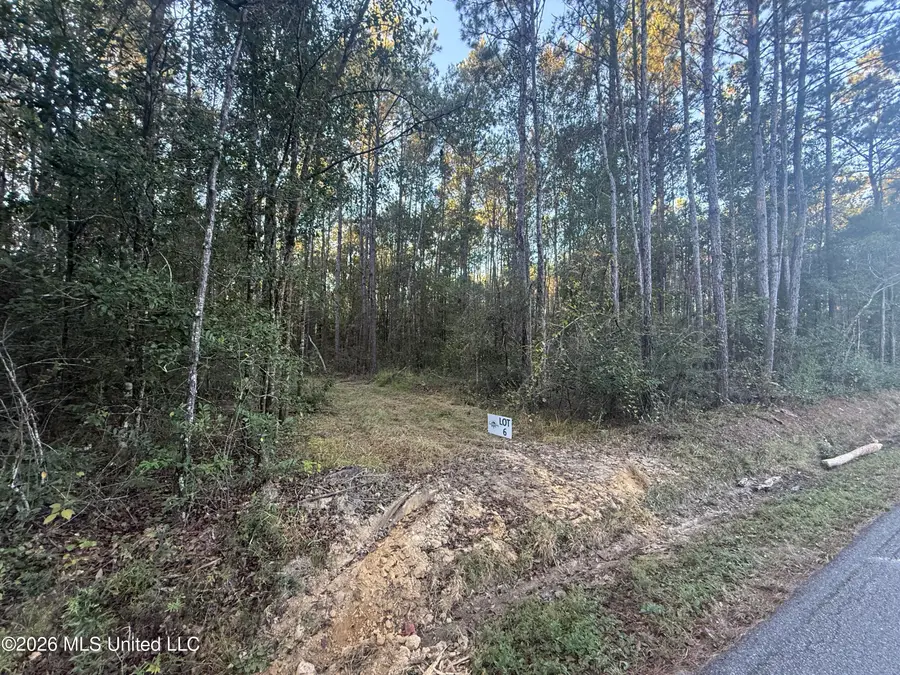 Lot 6 Big Point Road, Moss Point, MS 39562 - #2