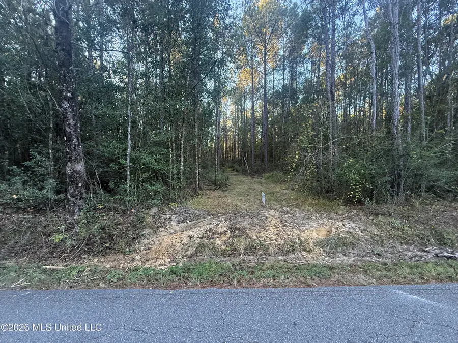Lot 6 Big Point Road, Moss Point, MS 39562 - #3