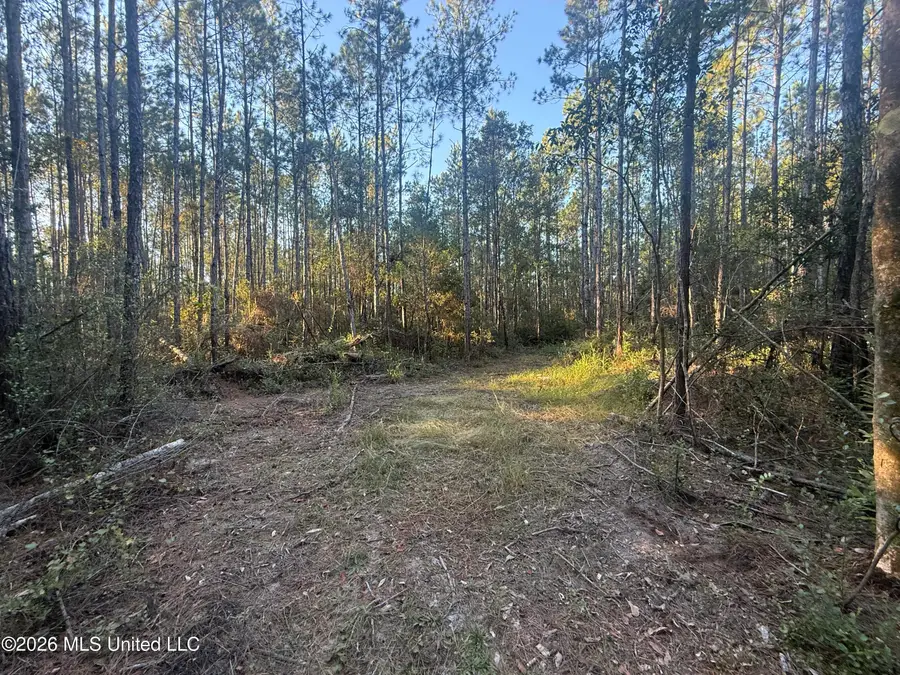 Lot 5 Big Point Road, Moss Point, MS 39562 - #2
