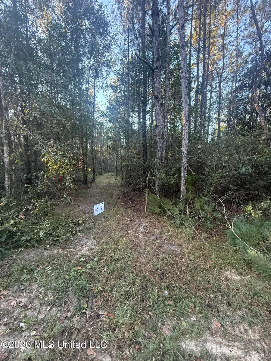 Lot 5 Big Point Road, Moss Point, MS 39562 - #3