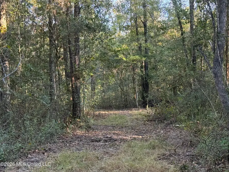 Lot 1 Big Point Road, Moss Point, MS 39562 - #3